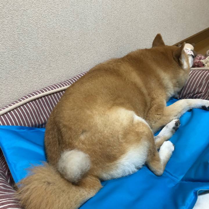 69ea71f8 86bb 465a a317 8b933cc0508c 1595770076607