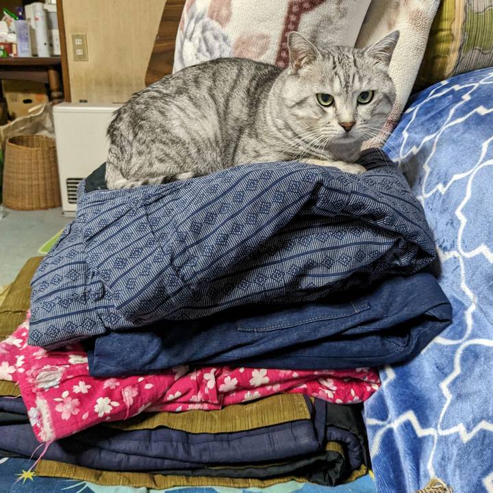 69ea77d1 8659 4e1f b71f b70865d8f09c 1696777811140