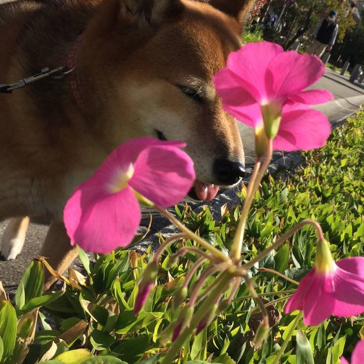 69ea841b bca0 4fbd 820b 63b9f3a63d8c 1540809890379