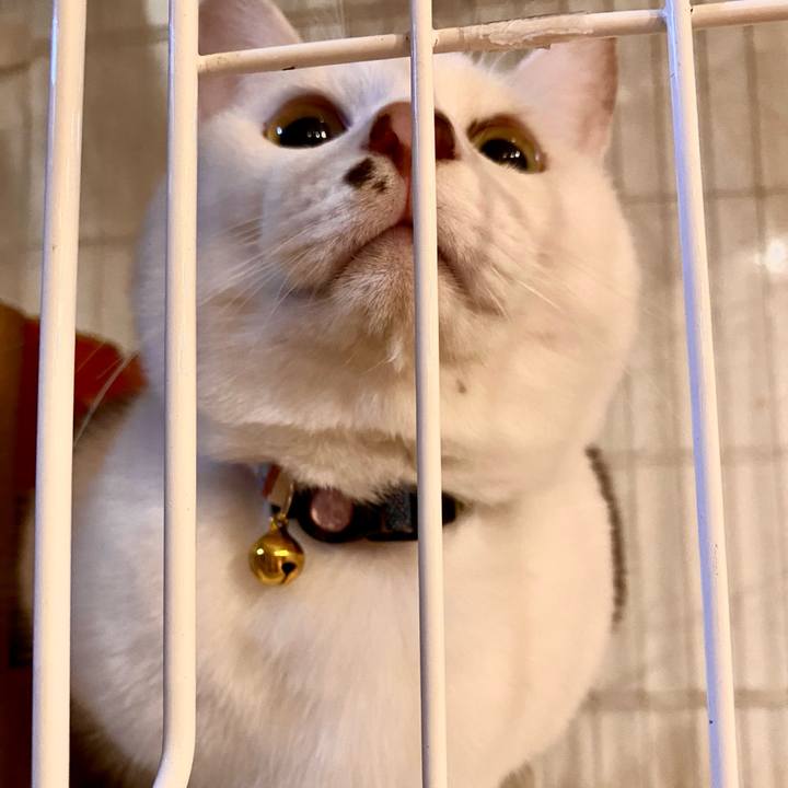 69ea9a71 efec 4789 baba a1aa7ea61975 1708769567224