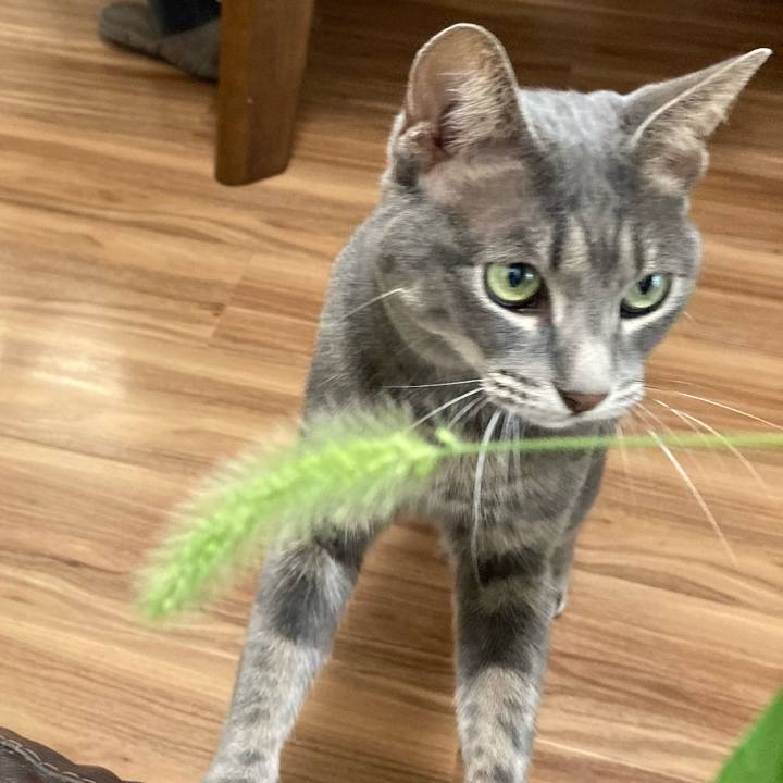 69eab2d8 4412 4234 aca8 16330d1369a9 1661733722982