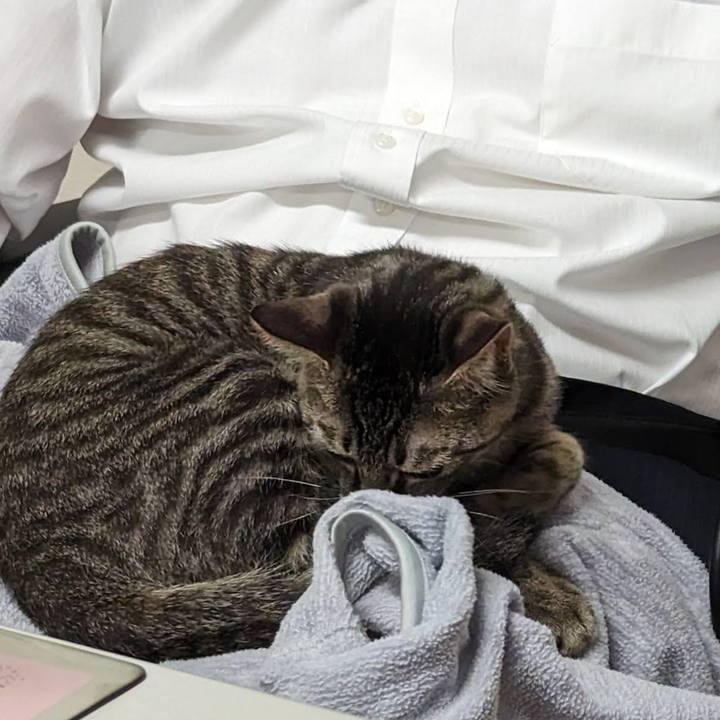 69ead07a d8dd 438c a1ab 25048d9ec3ef 1708488612483