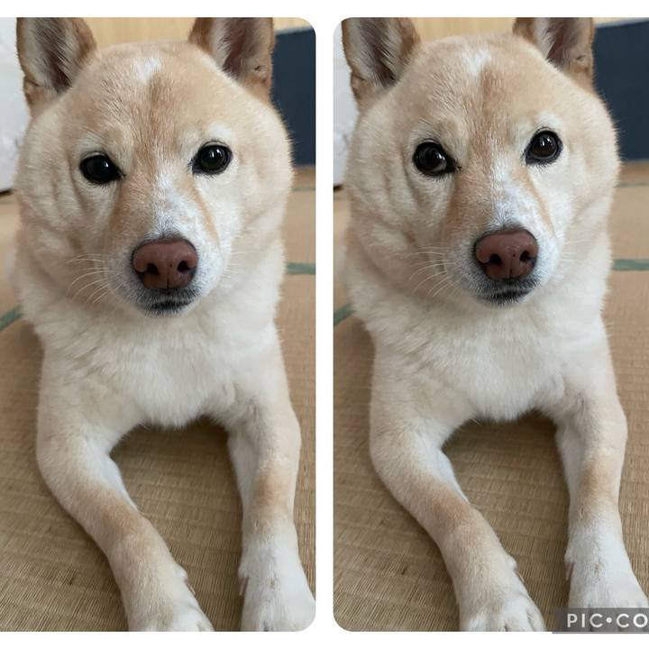 69eae7d5 8649 47fc 9ca2 18b3be0c3694 1717020157988