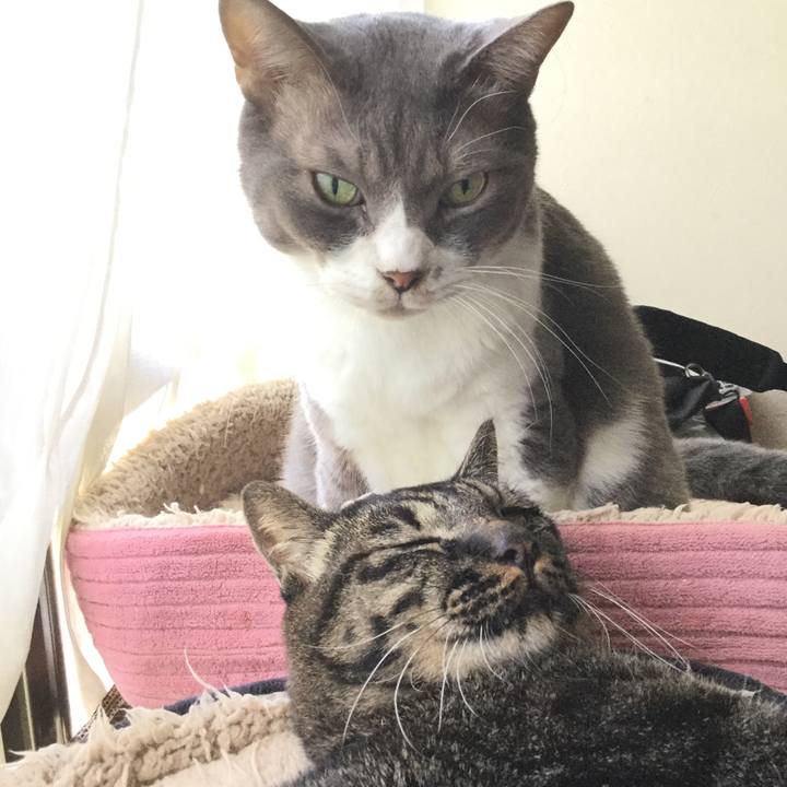 69eb3514 c22c 4bf9 b906 3691ec7a0059 1601637215920