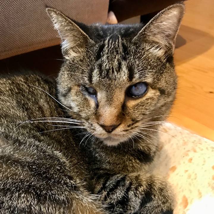 69eb467c 14a4 43ff ae70 4009964ec6d9 1571049663998