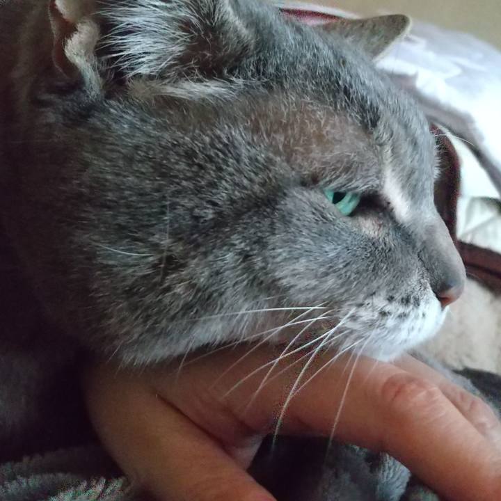 69eb4a8d 36ba 449d b28c 0330c85bd17f 1651528380429