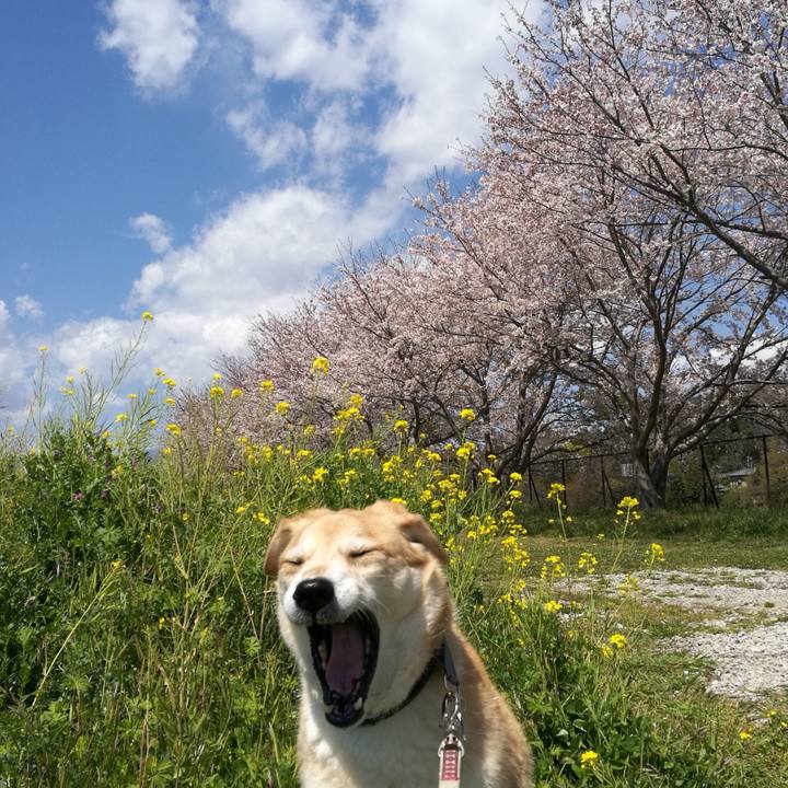 69eb7ef7 d72b 4051 8752 92ab8c4288ea 1554782701117