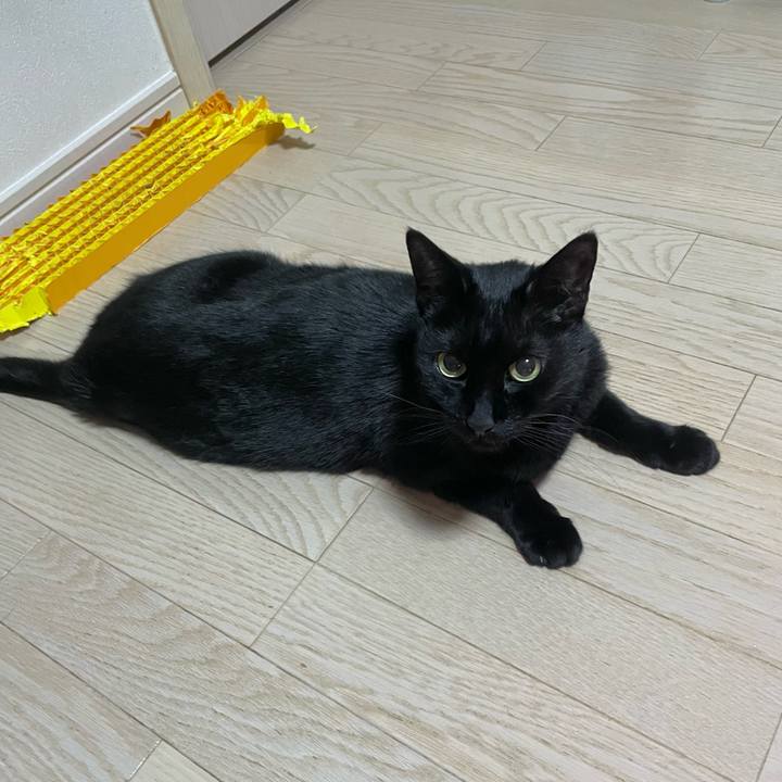 69eb9ee5 d0c3 4107 a8fe 3eafcccaa77e 1744634366713