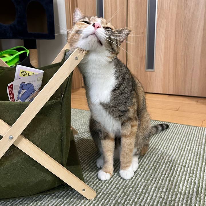 69ebe97c 4e59 430b a179 1cbd8b42dca2 1711776448232