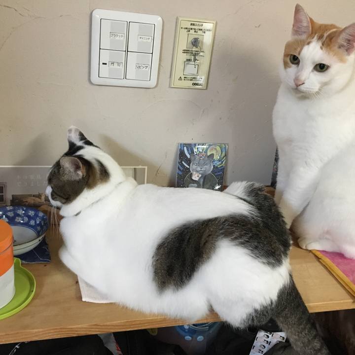 69ebfff1 6a5c 4447 a412 2330d7546738 1538369340328