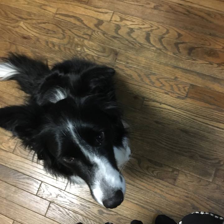 69ec056b d1f7 4f64 89ad 5ca681fcdbfb 1515104978961