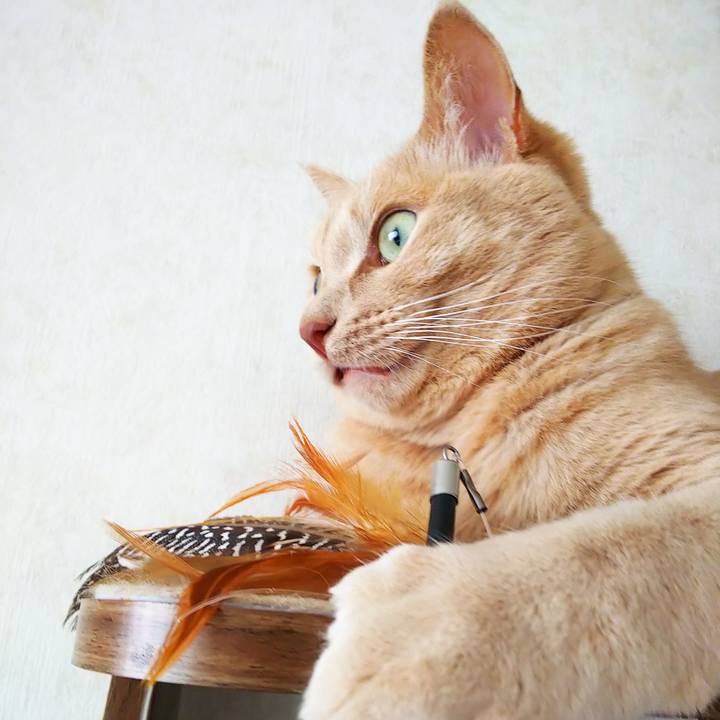 69ec0e54 ac68 436b 96b2 1082f7d43775 1659770206731