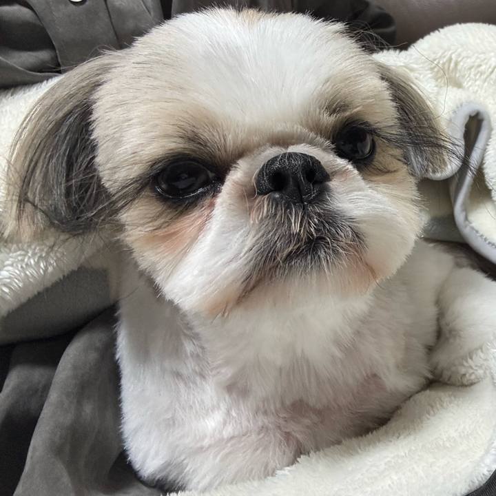 69ec42fd 0148 4150 a536 1aca07dab7a5 1764416999417