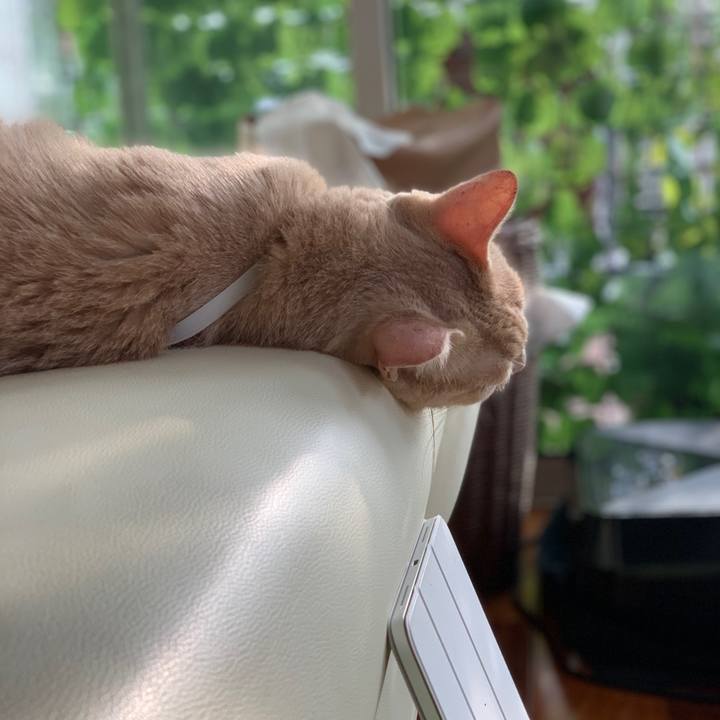 69ec4b70 f7d2 492d 95bd 5ca4f31e9061 1597008861788