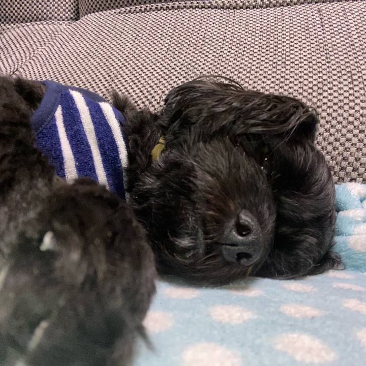 69ec7497 d014 4b39 98fa ba51d8817c87 1585830113905