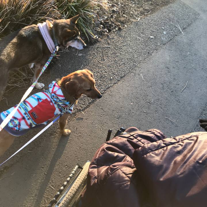 69ec7523 9330 4ce9 8d8a 9b35cfe1ccee 1516016616825