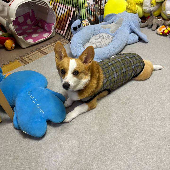 69ec9847 678f 4f7f 972d afb99a019271 1760451015482