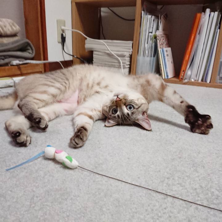 69eca3d4 1d27 4733 81d0 f29c20238072 1519560424054