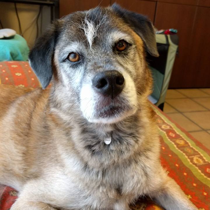 69eca654 2e70 40f3 82b5 76f9c7ea57dc 1535010441503