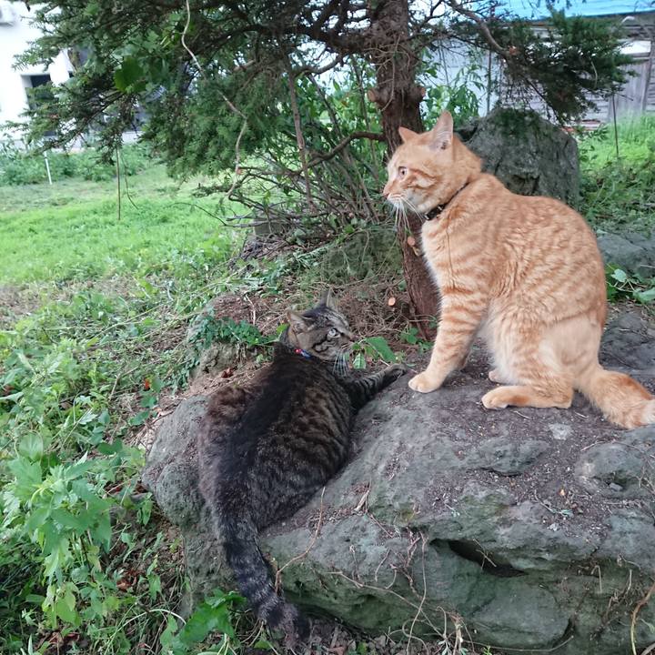 69ecd186 f702 43d3 b13c d0bbf66c13f4 1657534011821