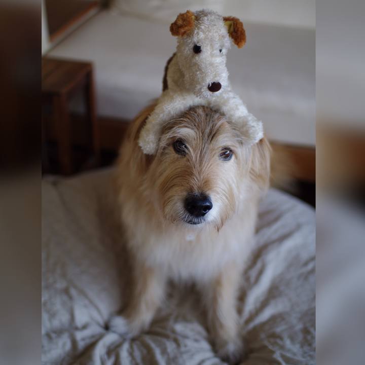 69ecf8cd 0164 45b8 9e34 0d4594860bea 1678953511703