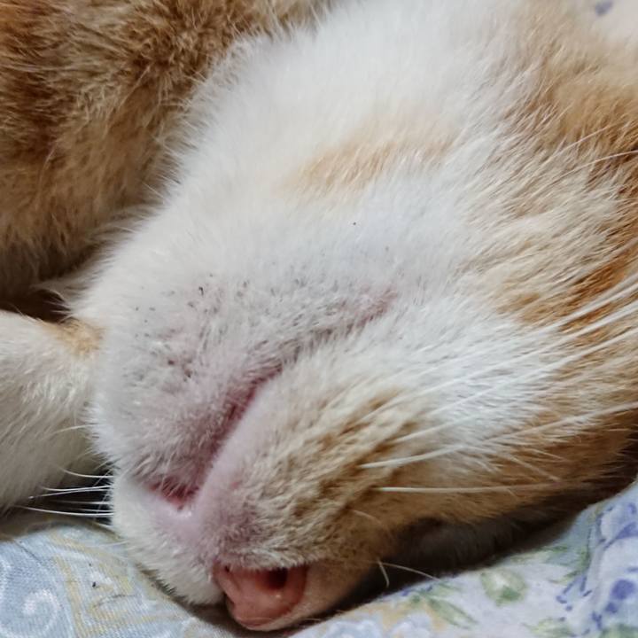 69ecfedf f392 4443 ad26 173cb4e3e630 1563798537192