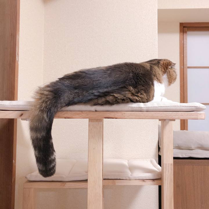 69ed55e6 0c28 445e a7bb fc71031b706b 1620531044084