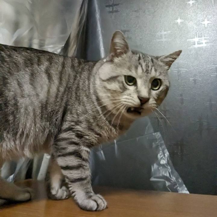 69eda6cb 4b5d 4df4 a6b6 aeedaef1da01 1700656721686