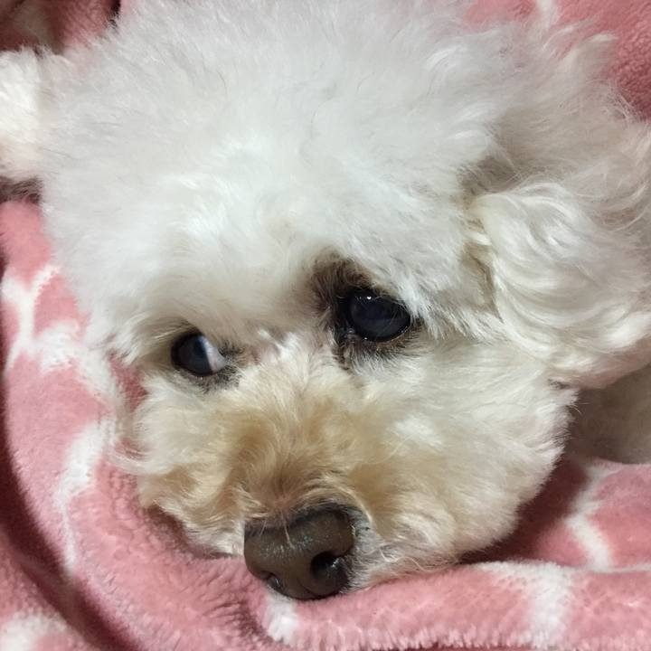 69edd11c 0e15 4803 8283 2ab9fec73404 1514454716623