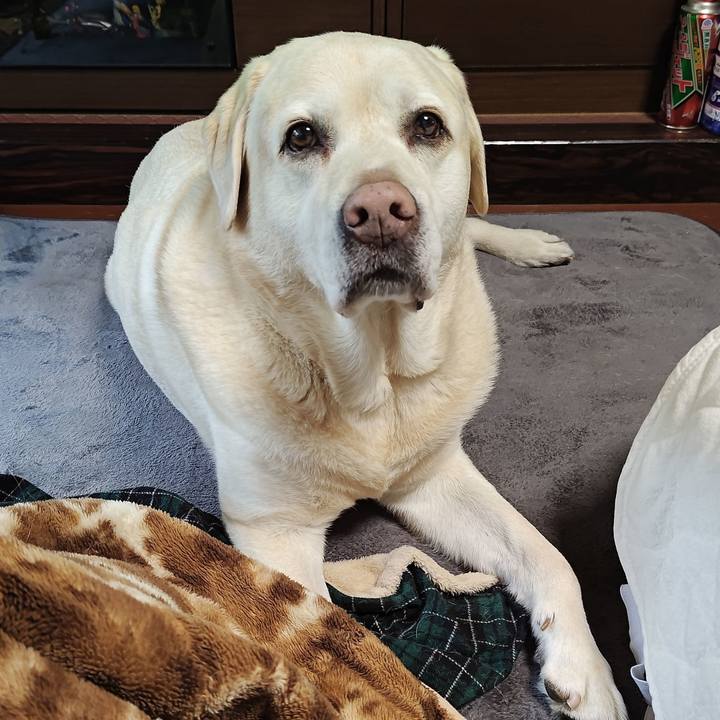 69edd2b0 9216 446b 9301 54d253e40c00 1766215287881