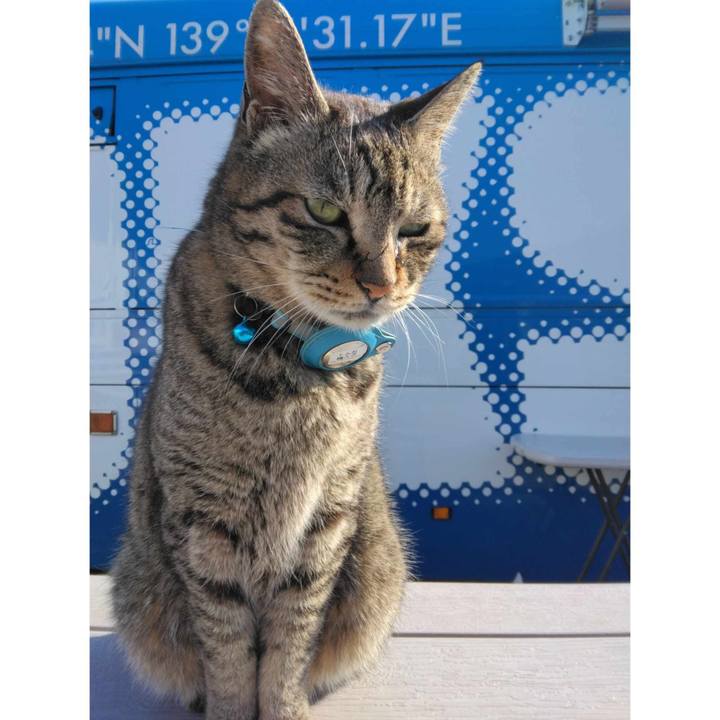 69edf693 3bef 4407 8ac4 5feb9268b635 1710463526799