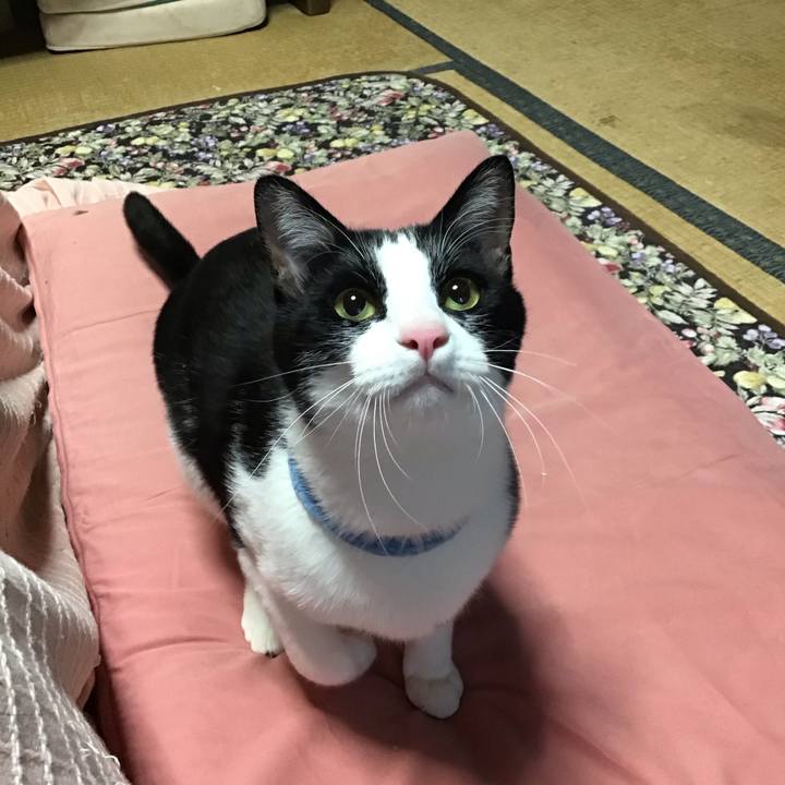 69edfb73 04b6 4f0d bdbe 5fd8c66213ad 1683709714076