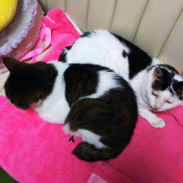 69ee24be 2a5b 49d0 95bf 354475e32cdb 1567940230313