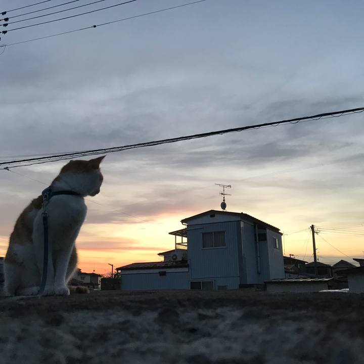 69ee29ad 9449 496c 81b6 89d6f9c4a93c 1510308694047