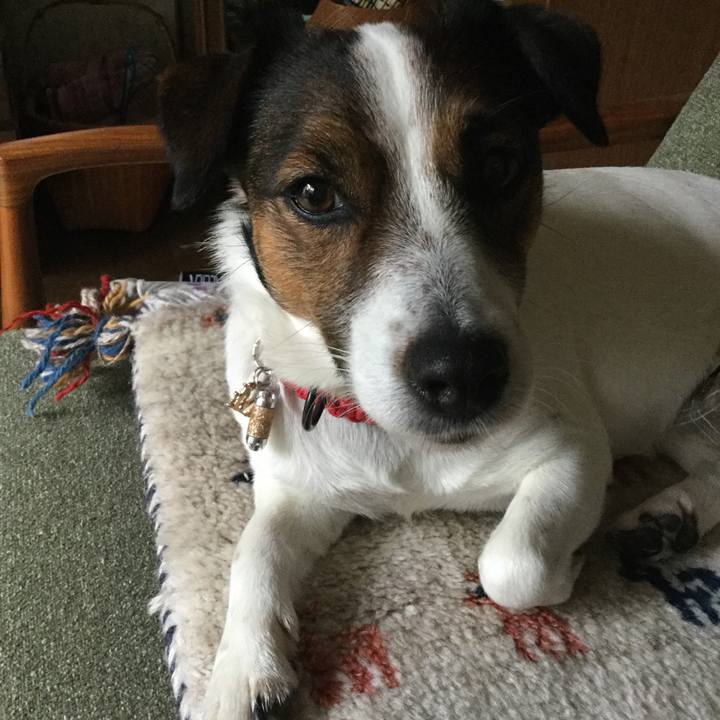 69ee5c88 37eb 4896 87a5 1a95a61cd21d 1554936954556