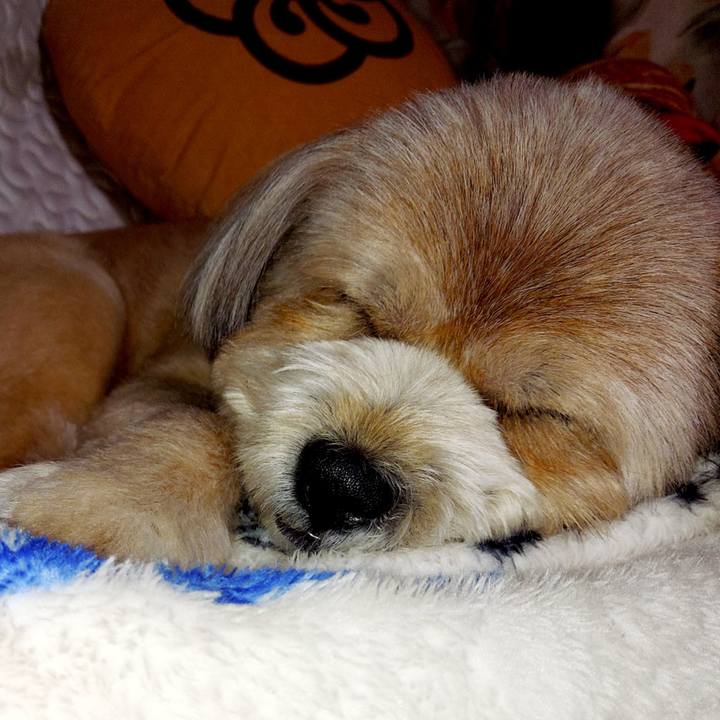 69ee715c b9a7 40ae 9c8d c051c68530d1 1621347885982