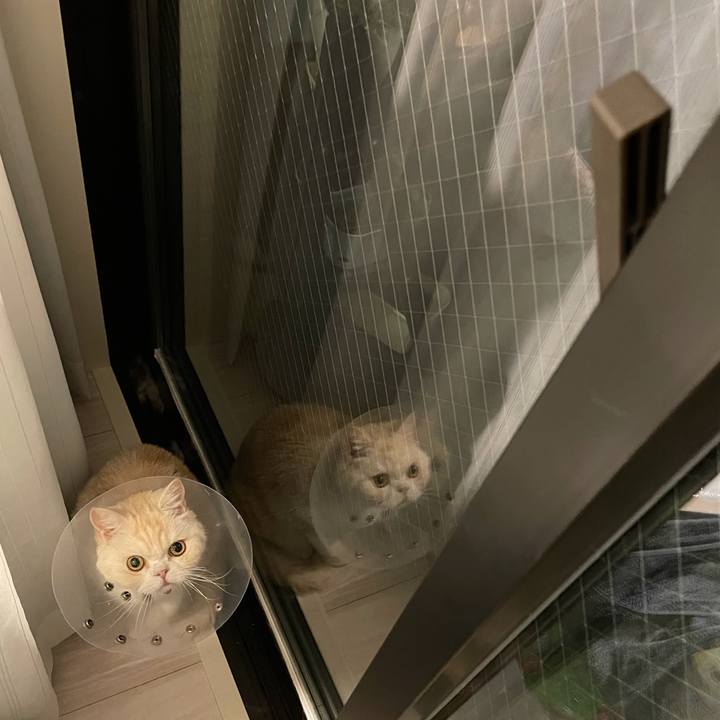 69eeb03b c405 4c83 838a e4c98a2120f1 1753443826850