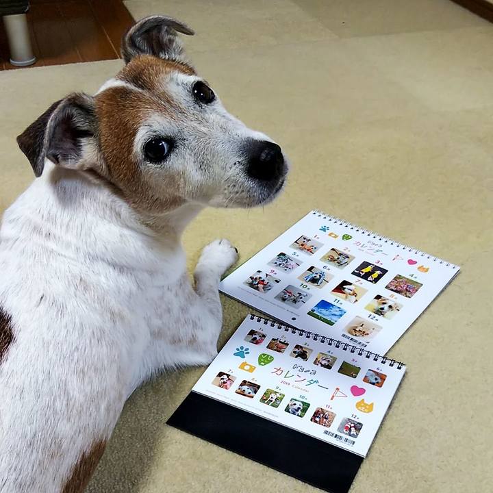 69eefe88 1f41 470f 95af 9b6b49d37223 1546085761339