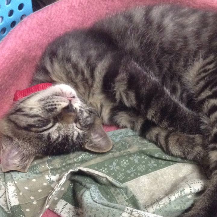 69ef18c7 d4ed 4511 9194 735828157962 1529718596334