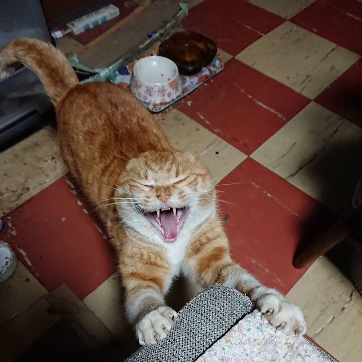 69ef304b 3f44 4093 a53d edac3bb48359 1578340244568