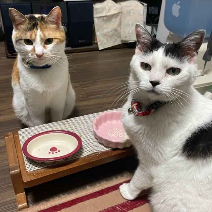 69ef51e1 2e96 49c5 bf49 46345309ddd6 1716463987380