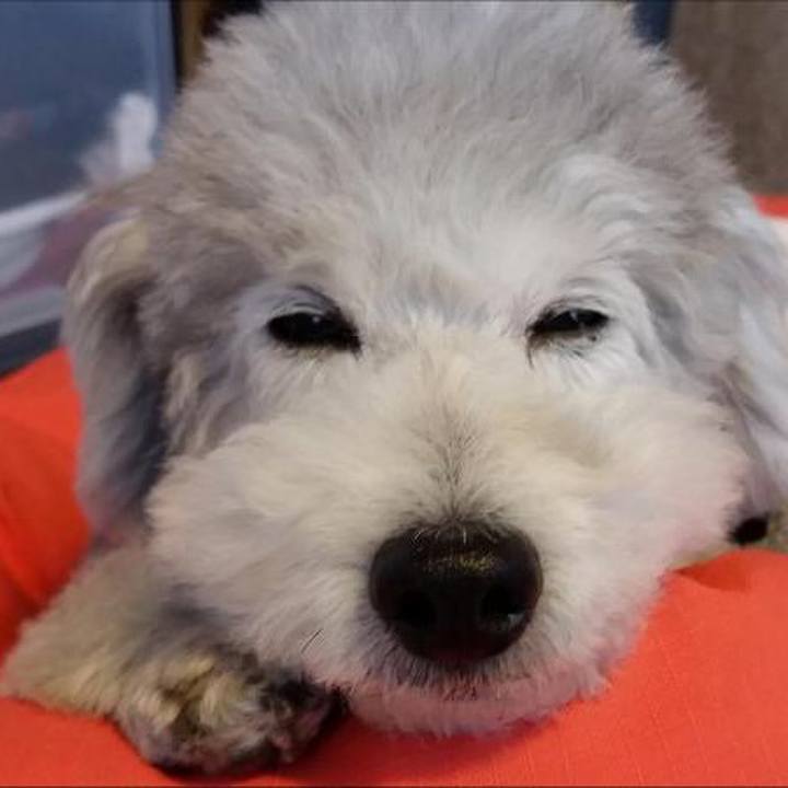 69ef6c40 a736 491b 867d 25c87defcc4c 1548256398141