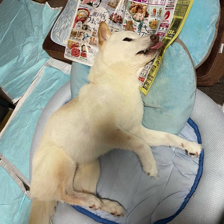 69ef7072 ecea 44d1 98fe 2389485afffc 1654533065796