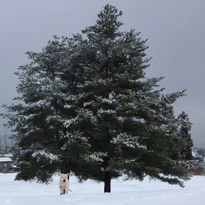 69efaebd 893f 47b5 ba4d d0a0efff6ad8 1514385651172