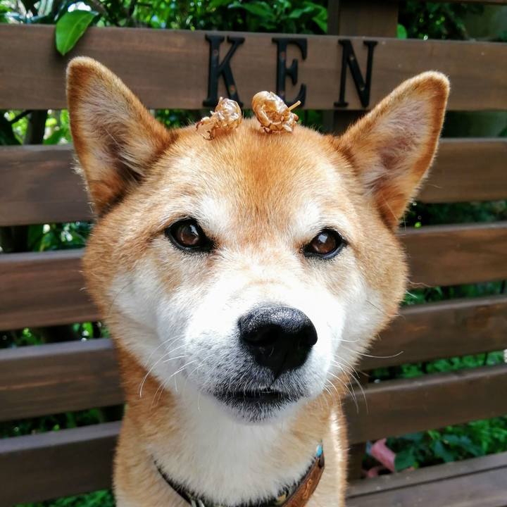 69f02069 34b0 4a97 b961 7422c9fe8d69 1627091730207