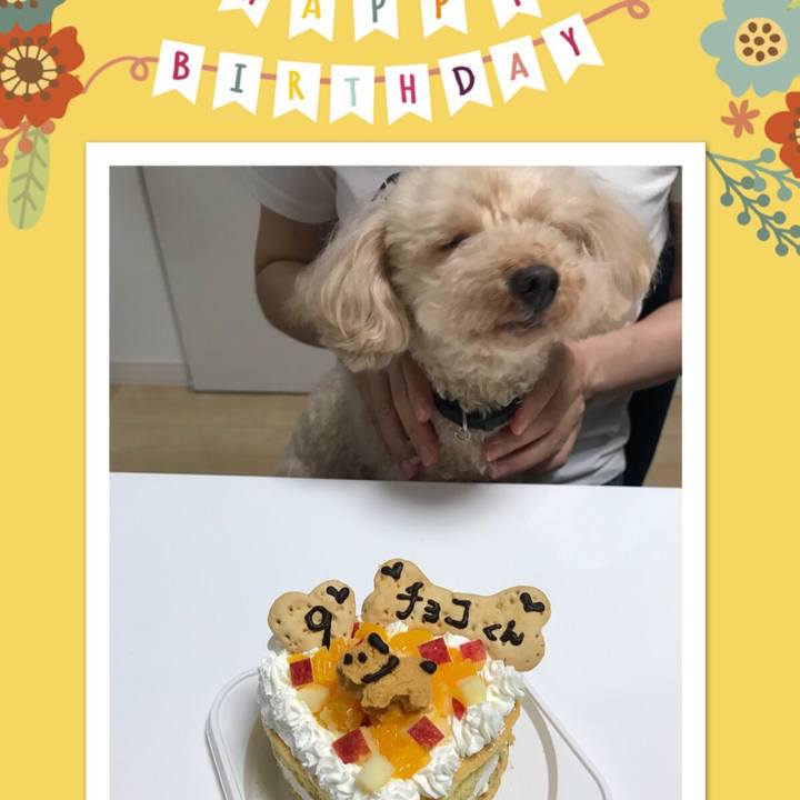 69f02f7b 1fc4 42e2 ad7c 9c3ef8d3f91b 1532431084768