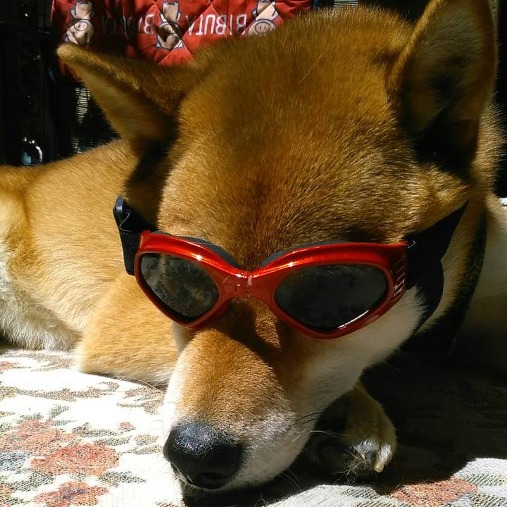 69f0426d e06e 49e9 aa1d 55c1e62bb1bb 1526780647810