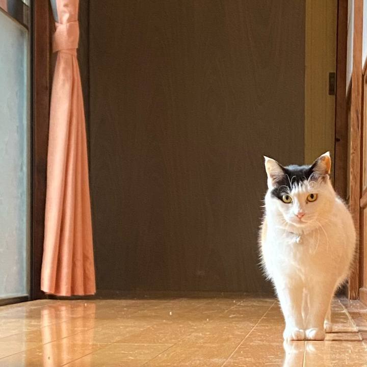 69f04b4c a481 403f ae20 94b2201553fc 1648032203174