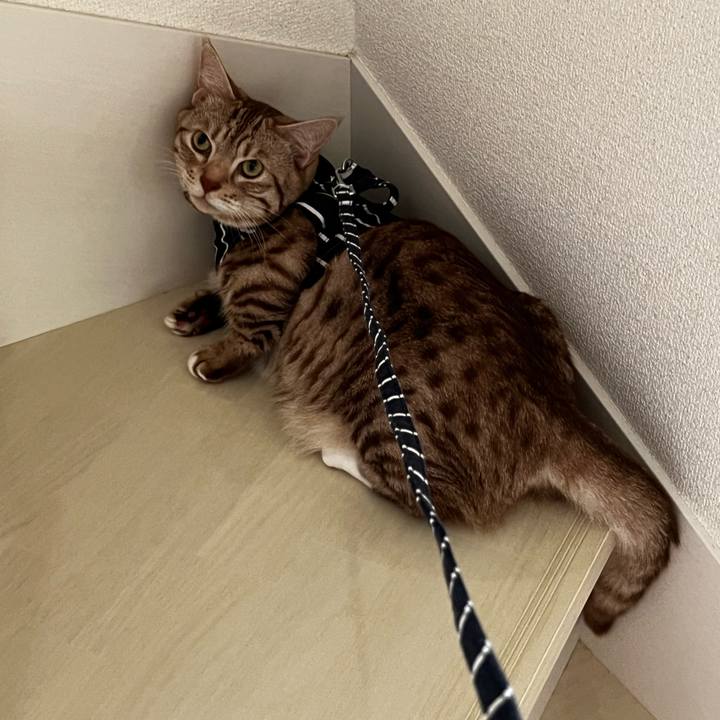 69f0cc68 8a97 415f bc84 fdbdaac69ec5 1691375115491