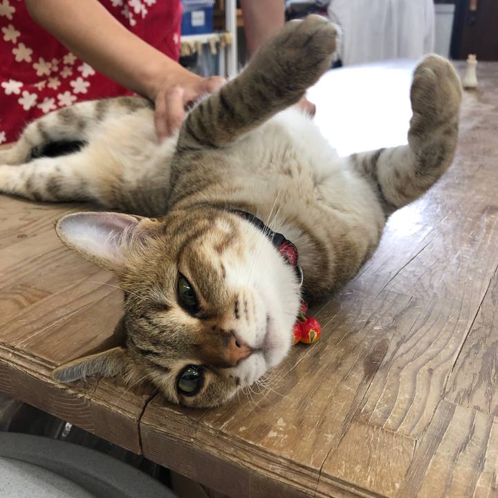 69f0cf63 4dd3 424f b583 b869d0dd0434 1657158036372